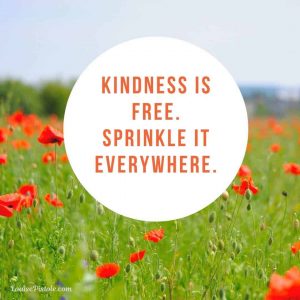 Kindness is free. Sprinkle it everywhere.