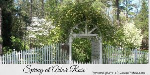 Welcome Spring - A Promise of New Beginnings | Inspiration