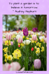 To plan a garden is to believe in tomorrow. Audrey Hepburn