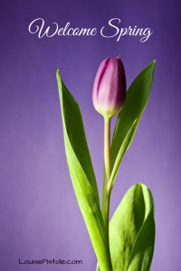 Welcome Spring – A Promise of New Beginnings | Inspiration